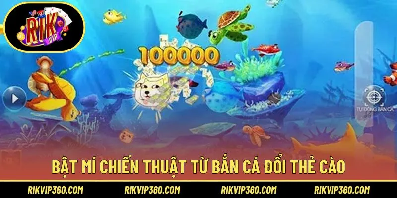 Bỏ túi bí quyết thắng lớn từ cao thủ trong săn cá đổi thẻ