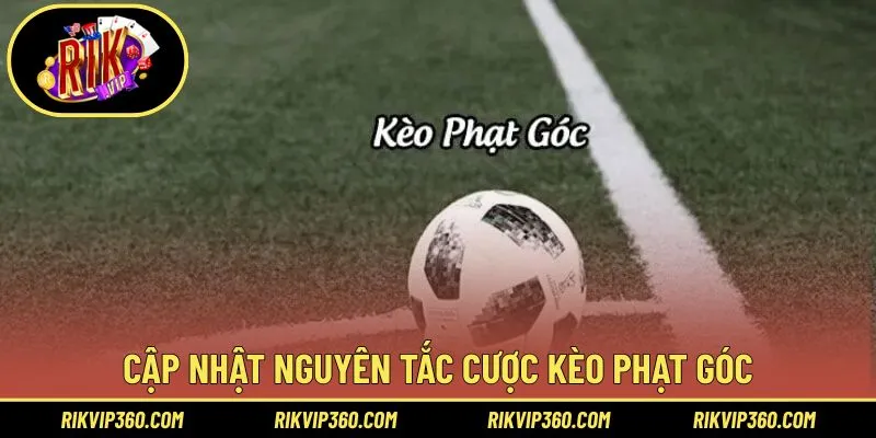 Những nguyên tắc bạn cần tuân thủ