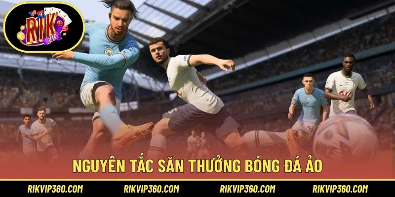 Cập nhật quy định đặt cược chi tiết