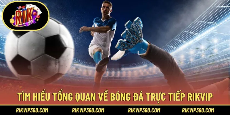 Tìm hiểu tổng quan về bóng đá trực tiếp Rikvip